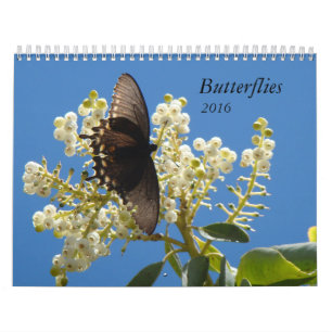 Calendrier Mural Papillons pour 2016