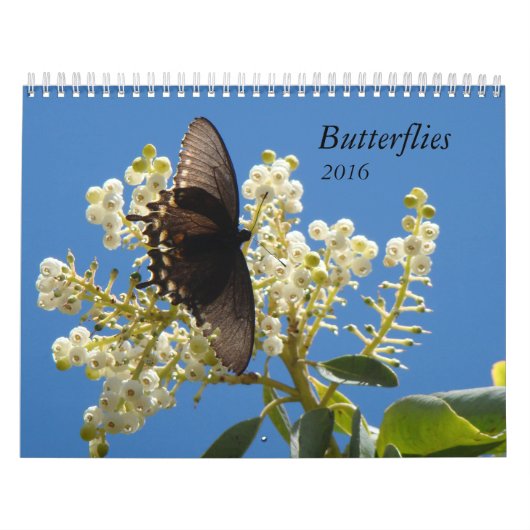 Calendrier Mural Papillons pour 2016 (Protection)