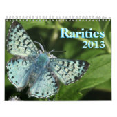 Calendrier Mural Papillons rares 2013 (Protection)