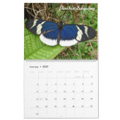 Calendrier Mural Papillons tropicaux de Colombie (Jan 2027)