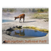 Calendrier Mural Parc national de Yellowstone (Protection)