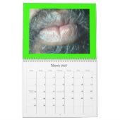 CALENDRIER MURAL PARTICIPATION DE PARADIS (Mar 2027)