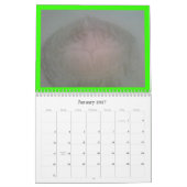 CALENDRIER MURAL PARTICIPATION DE PARADIS (Jan 2027)