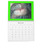 CALENDRIER MURAL PARTICIPATION DE PARADIS (Mar 2026)