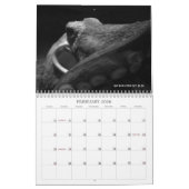 Calendrier Mural "Pas plus de Megafauna charismatique !" - (Feb 2026)