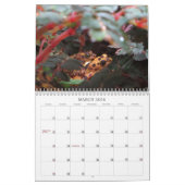 Calendrier Mural "Pas plus de Megafauna charismatique !" - (Mar 2026)