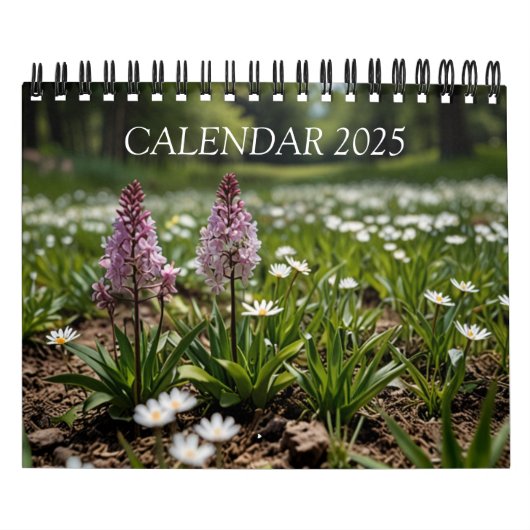 Calendrier mural paysager 2025 (Protection)