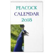 Calendrier Mural Peacock coloré 2017 (Protection)