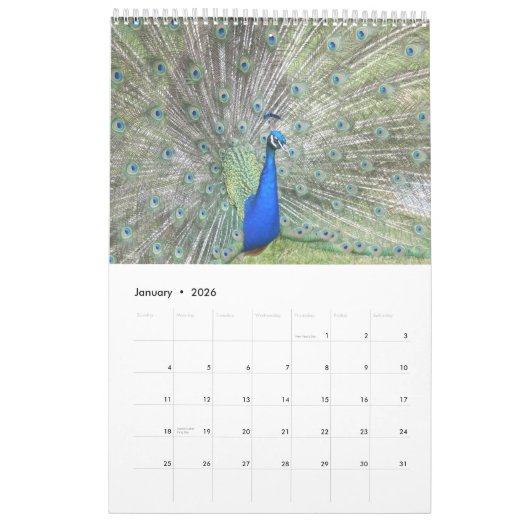 Calendrier Mural Peacock coloré 2017 (Jan 2026)