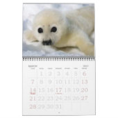 Calendrier Mural Phoques blancs ! (Mar 2027)