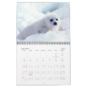 Calendrier Mural Phoques blancs ! (Jan 2027)