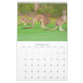 Calendrier Mural photo d'animal sauvage (Jan 2027)