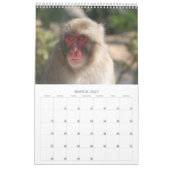Calendrier Mural photo d'animal sauvage (Mar 2027)