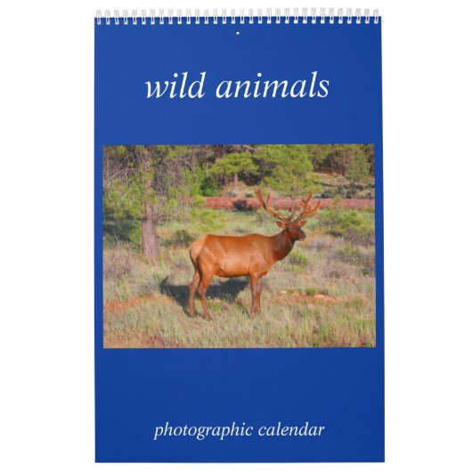 Calendrier Mural photo d'animal sauvage (Protection)