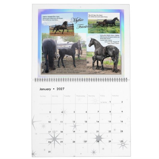 Calendrier Mural Photo énorme de cheval frison (Jan 2027)