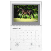 Calendrier Mural Photo énorme de cheval frison (Feb 2027)