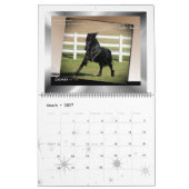 Calendrier Mural Photo énorme de cheval frison (Mar 2027)