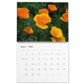 Calendrier Mural Photographie 2010 par Bryan Fisher (Mar 2026)