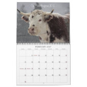 Calendrier Mural Photographie 2013 de Debbie Roberts (Feb 2027)