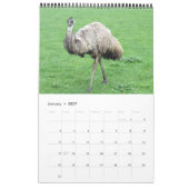 Calendrier Mural photographie australienne 2014 d'animaux (Jan 2027)