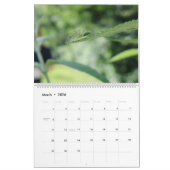 Calendrier Mural Photographie minuscule de macro de créatures de (Mar 2026)