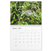 Calendrier Mural Photographie minuscule de macro de créatures de (Feb 2027)