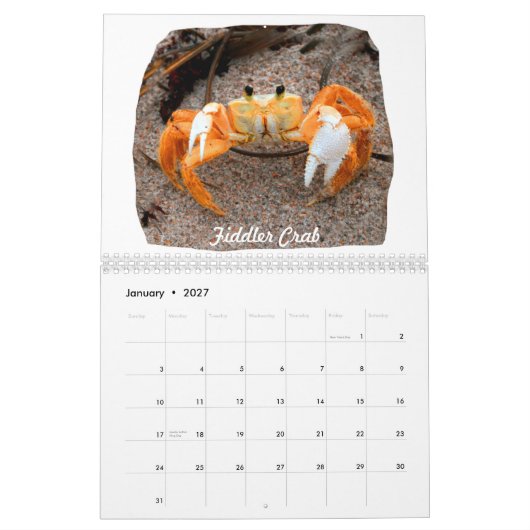 Calendrier Mural Photos d'images de plage de la Floride (Jan 2027)