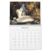 Calendrier Mural PICS aléatoire C de Ricks 2008… (Mar 2027)