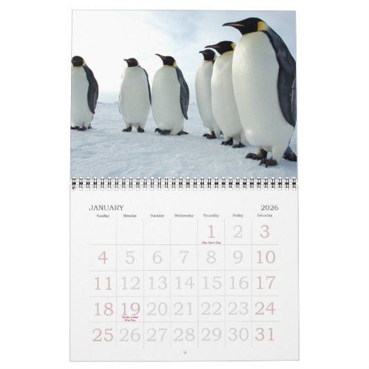 Calendrier Mural Pingouins (Jan 2026)