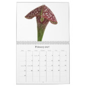 Calendrier Mural Plantes carnivores (Feb 2027)