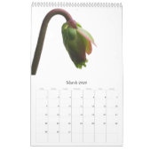 Calendrier Mural Plantes carnivores (Mar 2026)