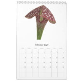 Calendrier Mural Plantes carnivores (Feb 2026)
