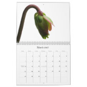 Calendrier Mural Plantes carnivores (Mar 2027)