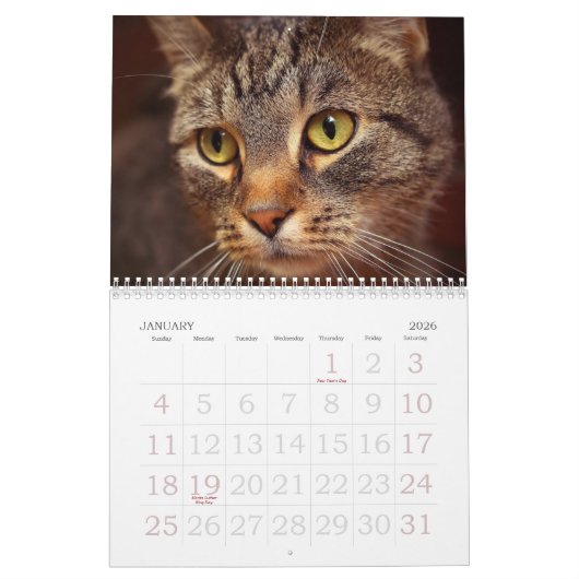 Calendrier Mural Plots réflectorisés (Jan 2026)