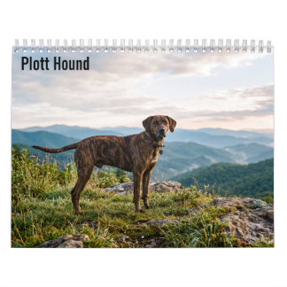 Calendrier mural Plott Hound 2027