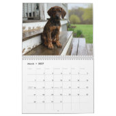 Calendrier mural Plott Hound 2027 (Mar 2027)