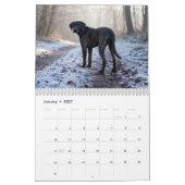 Calendrier mural Plott Hound 2027 (Jan 2027)