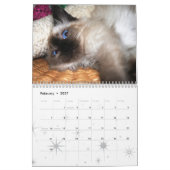 Calendrier Mural Plus de chatons ! (Feb 2027)