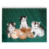 Calendrier Mural Plus de chatons ! (Protection)