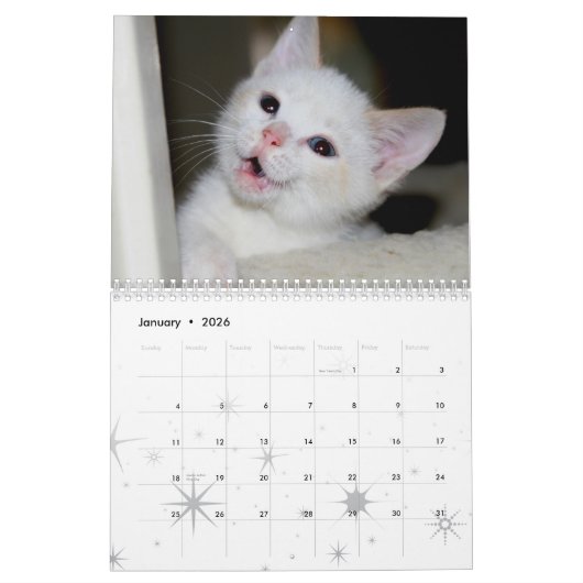 Calendrier Mural Plus de chatons ! (Jan 2026)
