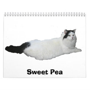 Calendrier Mural Pois doux