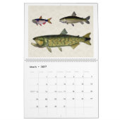 Calendrier Mural Poisson d'Amérique du Sud 2026 (Mar 2027)