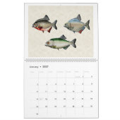 Calendrier Mural Poisson d'Amérique du Sud 2026 (Jan 2027)