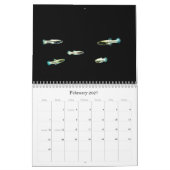 Calendrier Mural Poisson du monde (Feb 2027)