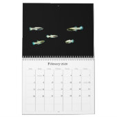 Calendrier Mural Poisson du monde (Feb 2026)