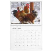 Calendrier Mural Poulet naturel gardant de 'l'atterrisseur de (Jan 2026)