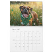 Calendrier mural pour chien Boxer 2026 | Calendrie (Mar 2027)