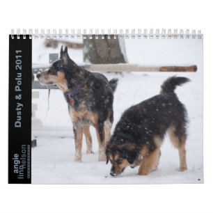 Calendrier Mural Poussiéreux et Polu 2011
