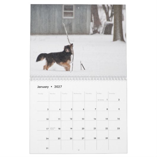 Calendrier Mural Poussiéreux et Polu 2011 (Jan 2027)