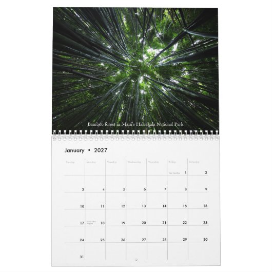 Calendrier Mural Prisant la nature - vol. 1 (Jan 2027)